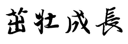 中国文字:意美音美形美