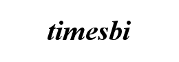 timesbi字体